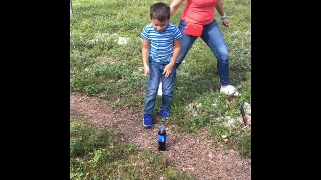 Едем в Карелию смотреть онлайн