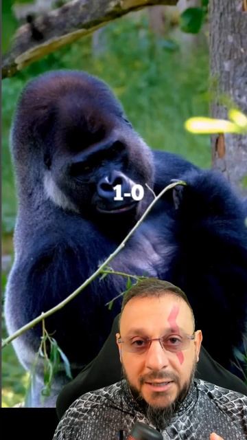 Gorila X chimpanzé смотреть онлайн