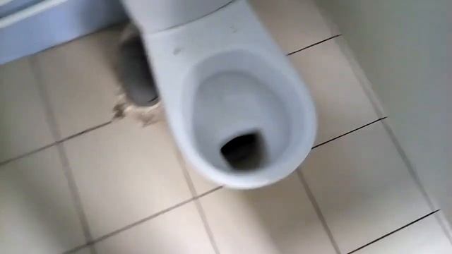 Обзор на туалет смотреть онлайн