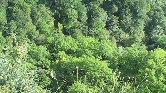 Роупджампинг в экстрим-парке Мишоко от компании Оштен-тур смотреть онлайн