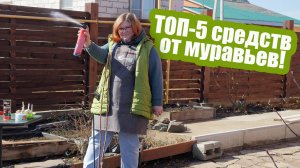 ИЗБАВЛЯЕМСЯ ОТ МУРАВЬЕВ как вывести их с участка и из дома