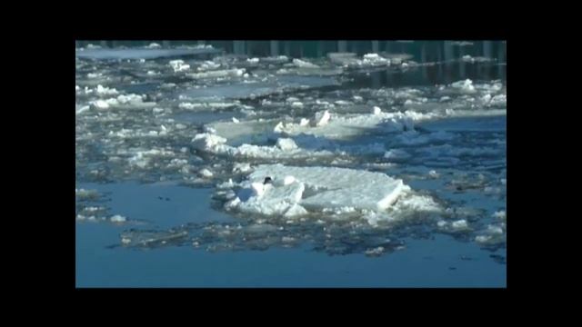 Нева - вороны на льдинах)