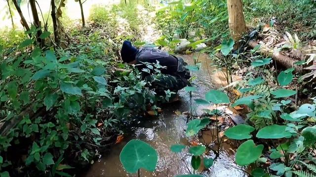 karen food Eel. tea tue baw. 🐍🐍🐍🐍🐉🐉🐉 смотреть онлайн