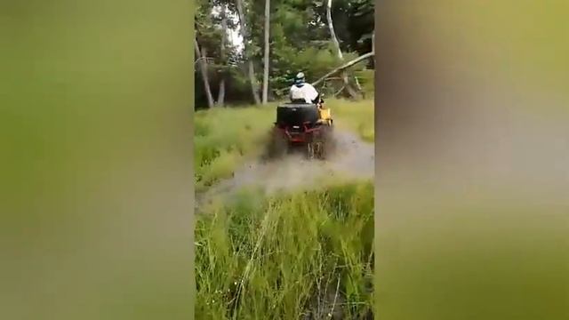 БРОД БОЛОТО ГЕПАРДЫ ГРЫЗЛИ ПОКАТУХА