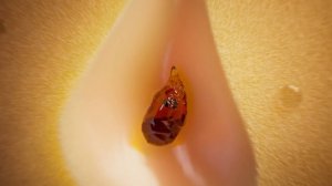 Махеевъ - Вы тоже это чувствуете (Россия) (2025)