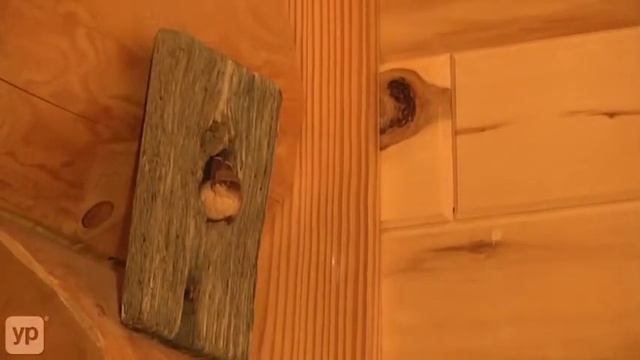 Black Bear Enterprises LLC | Log Cabins | Verona, WI