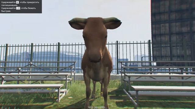 Лафафоры. Серия #2 GTA V (5) PC (Корова) смотреть онлайн