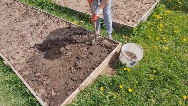 Посадка картофеля смотреть онлайн
