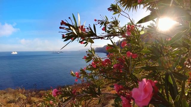 Мужчина бросил его умирать, а когда спустя пол года увидел живым, был в шоке...