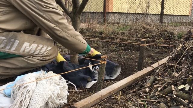 Моя перша "Тепла Грядка Розума" смотреть онлайн