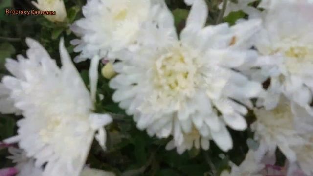 Осень на моей даче. смотреть онлайн