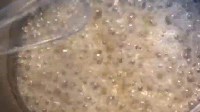 HOW TO MAKE HONEYCOMB SEAFOAM Candy Recipe By How To Cook That Ann Reardon