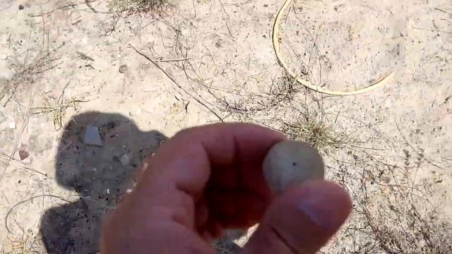 Нашел "яйцо динозавра" в каньоне Волгограда Found a "dinosaur egg" in the Volgograd canyon 恐龙蛋 恐竜の卵 смотреть онлайн