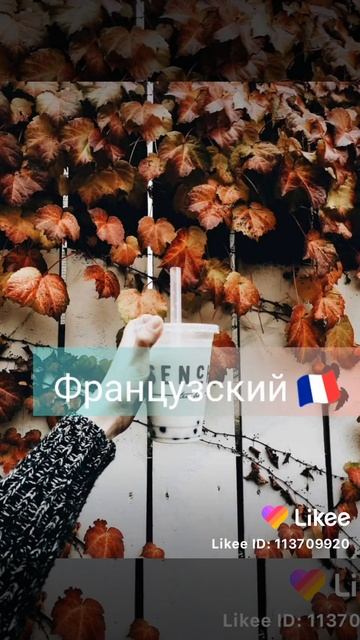 песня Маши и Медведя на разных языках🤣🤣🤣🤣 смотреть онлайн