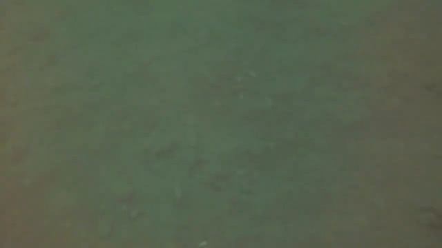 Lake Michigan shipwreck SCUBA diving, 8/14/2018 #2 смотреть онлайн