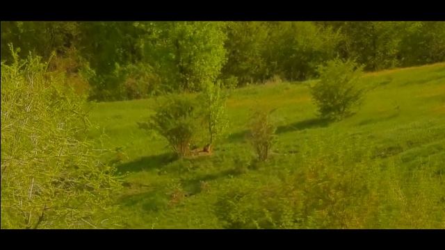 Июньские встречи смотреть онлайн