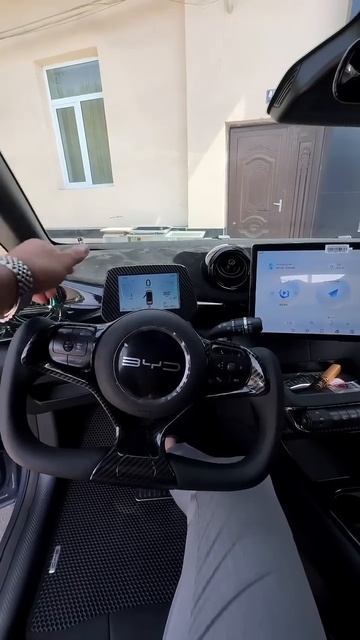 BYD Dolphin смотреть онлайн