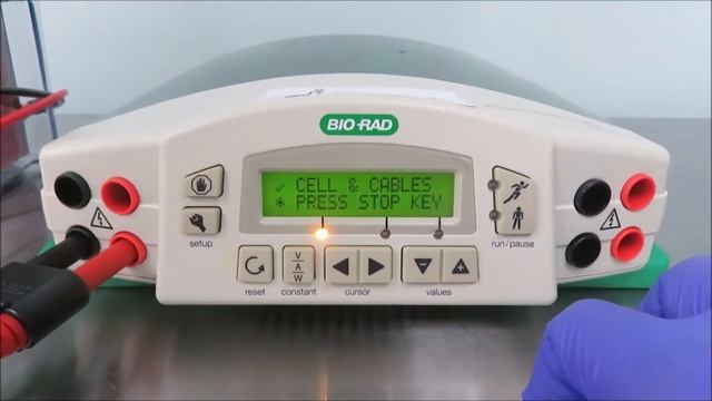 Biorad PowerPac HC Electrophoresis Power Supply For Sale