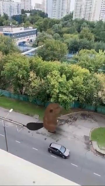 Выростил бобра))) смотреть онлайн