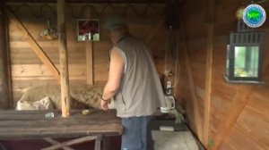 Автономная Электро грядка и гидро плазма от Владимира Почиевского - родники России- Глобальная волна