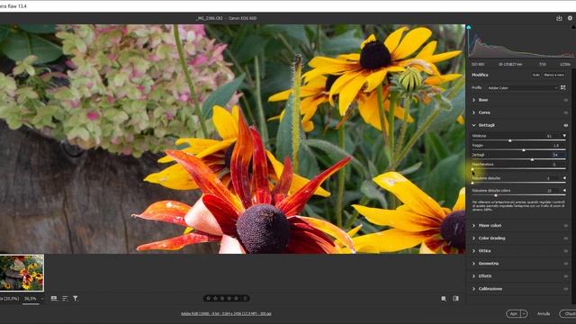 Camera Raw 2021: La Nitidezza - Tutorial 12/24 смотреть онлайн