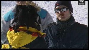 Непутевые заметки 04.02.2001