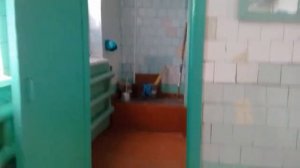 Путешествие мальчика в женский туалет
