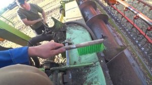 Уборка люпина 2022! John Deer, Class Tucano 450, Torum 750, Дон 1500Б!