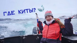 ПОГОНЯ ЗА КИТАМИ ТЕРИБЕРКИ!