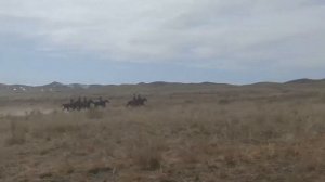 Конные скачки Аът чарыжы , Тыва Ча, Хүреш «Ада-өгбелеривистиң чырыткылыг адынга тураскаадыг»
