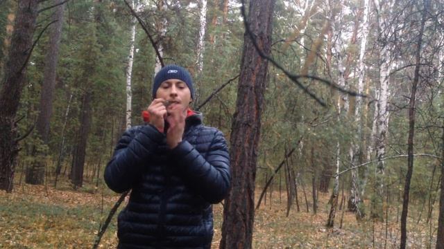 Лес/варганы под минуса 18.10.2017 смотреть онлайн