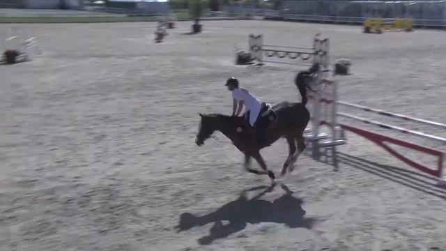 MENTHE VERTE - Carmen Giner Llacer - Bronze 2 - Valencia (26.10.2014) смотреть онлайн