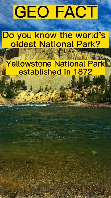 Experience Nature's Masterpiece - Yellowstone National Park #shortvideo #parks #shorts #shortsvideo