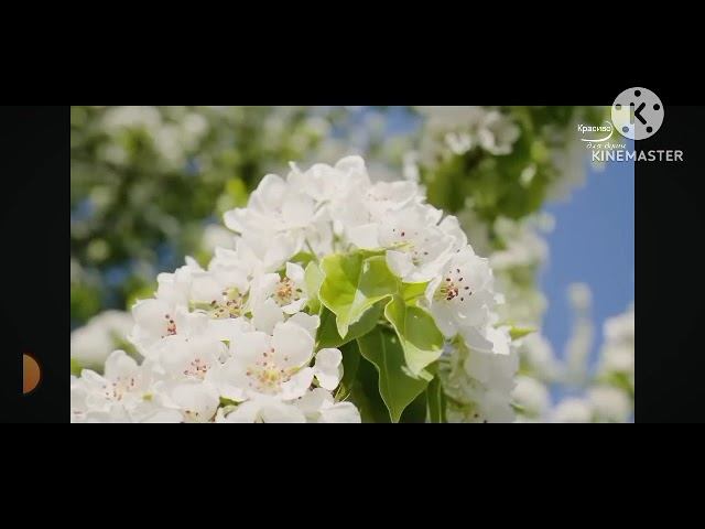 чудеса исцеления! смотреть онлайн