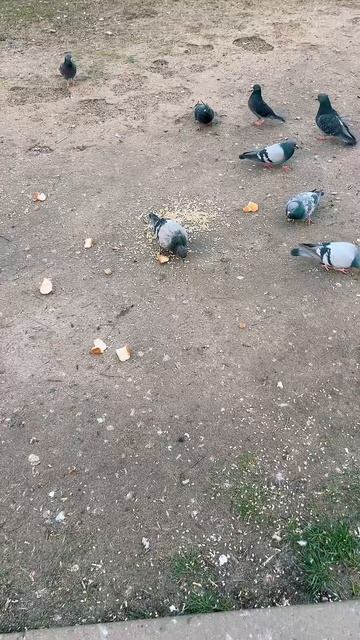 🔴 ЖИЗНЬ…ЕЩЕ🔴 смотреть онлайн