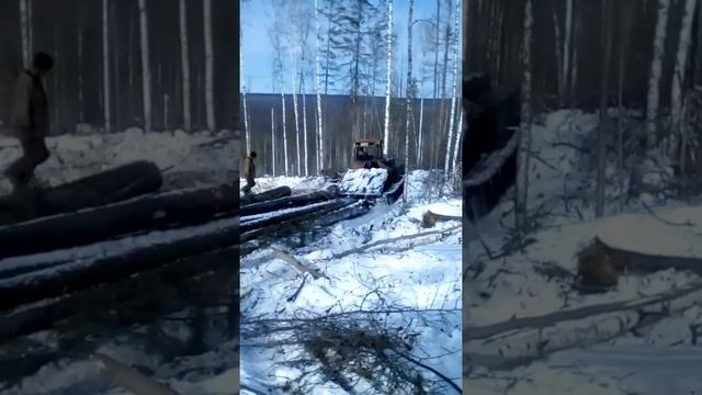 Трелевка леса. смотреть онлайн