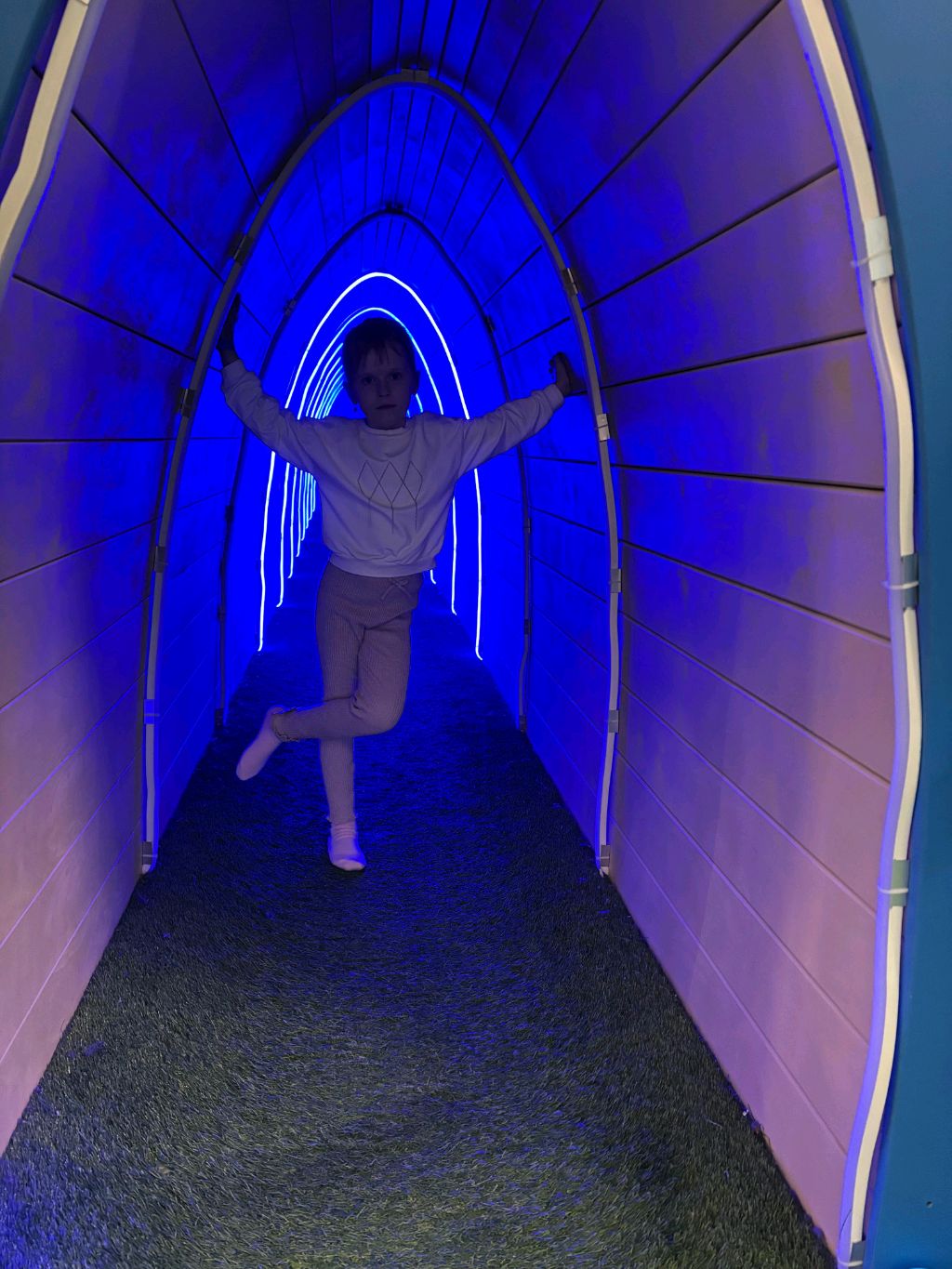 пробую быть кватробером 🐈🏳️⚧️🏳️⚧️🏳️⚧️