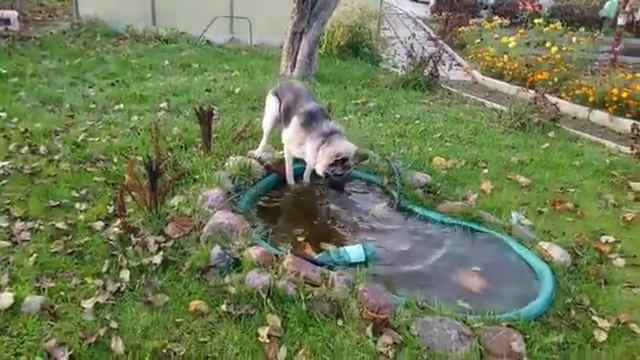 Ульяна 3 VID 20201029 WA0017 смотреть онлайн