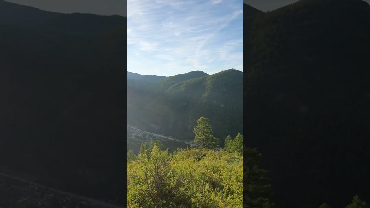 Красивая природа Алтая | Красота родного края #алтай #mountains #shorts