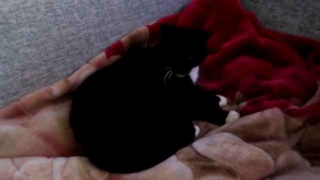 Я В ШОКЕ! СКОЛЬКО ХЛАМА Я СОБРАЛА С БАЛКОНА? ДОЛОЙ ХАНДРУ! РАСХЛАМЛЯЮСЬ И НАВОЖУ ПОРЯДКИ. смотреть онлайн
