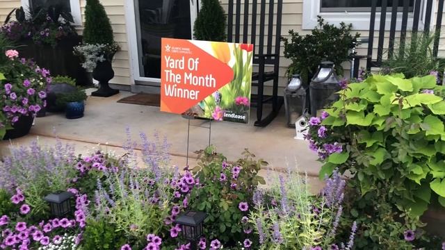 Yard of the Month смотреть онлайн