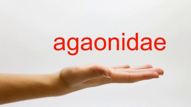 How to Pronounce agaonidae - American English смотреть онлайн