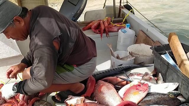 inamon c adventure challenge accepted 😂 смотреть онлайн