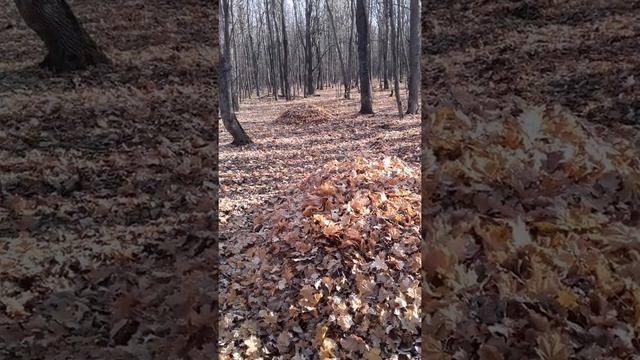 Будни пенсионера, чистейший халявный утеплитель смотреть онлайн