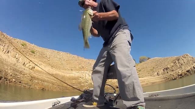 Rapala Shad Rap смотреть онлайн