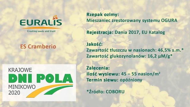 Krajowe Dni Pola 2020 - Prezentacja odmianowa rzepaku ozimego firmy Euralis смотреть онлайн