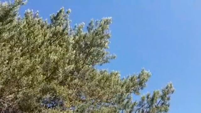 5 июня 2019/ежедневник Ангелов/Лена Воронова смотреть онлайн