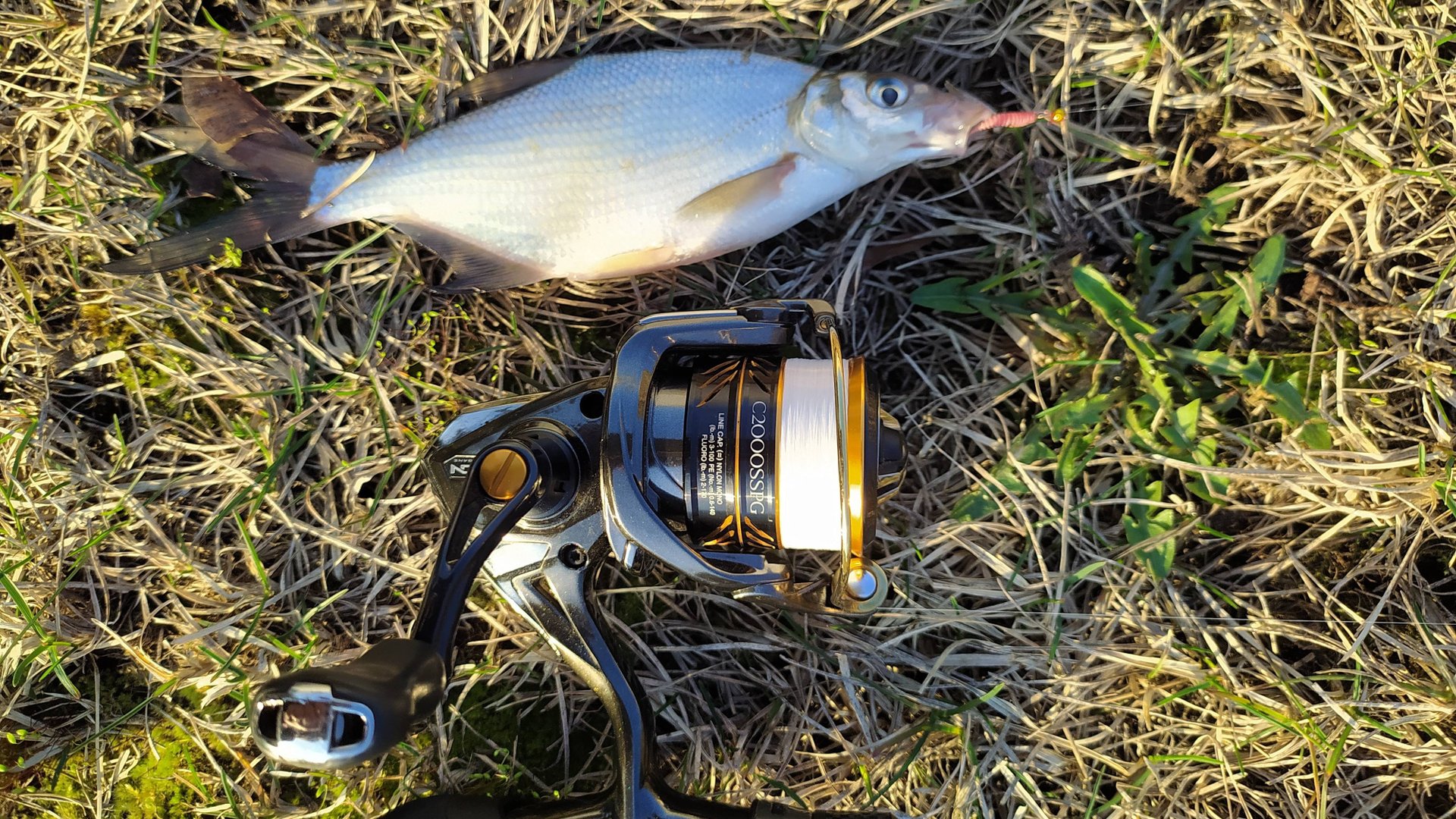 МОРМЫШИНГ. Шаромышки собственного изготовления