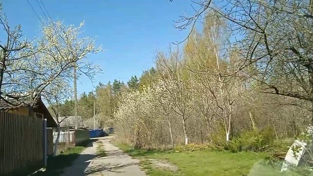 Санаторий Приднепровский.Шашлычок под коньячок. смотреть онлайн