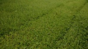 Бензиновая газонокосилка Ресанта КР-5.0 БТ в работе